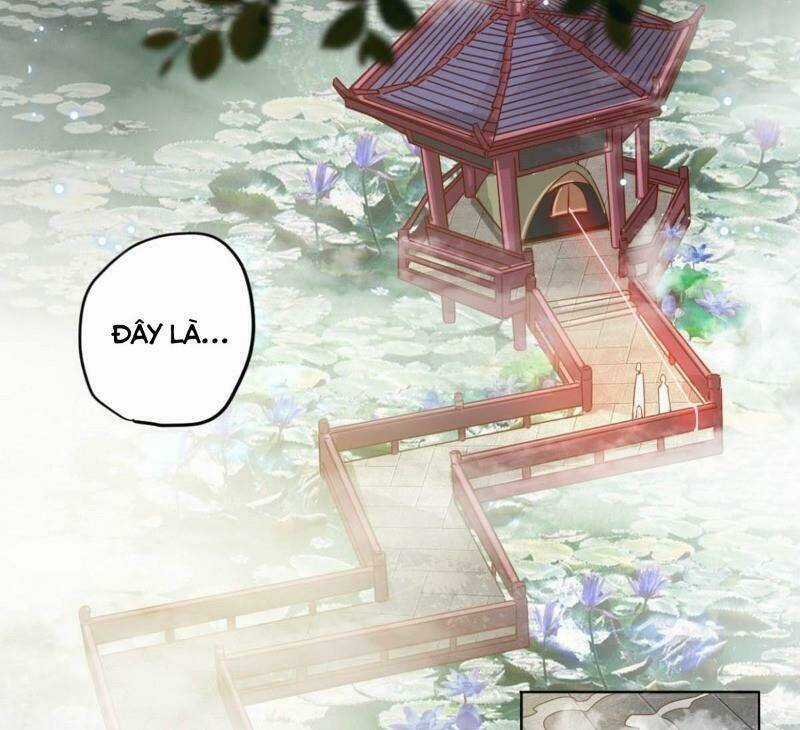 Đô Thị Siêu Cấp Y Sinh - Chapter 11 - Trang 5