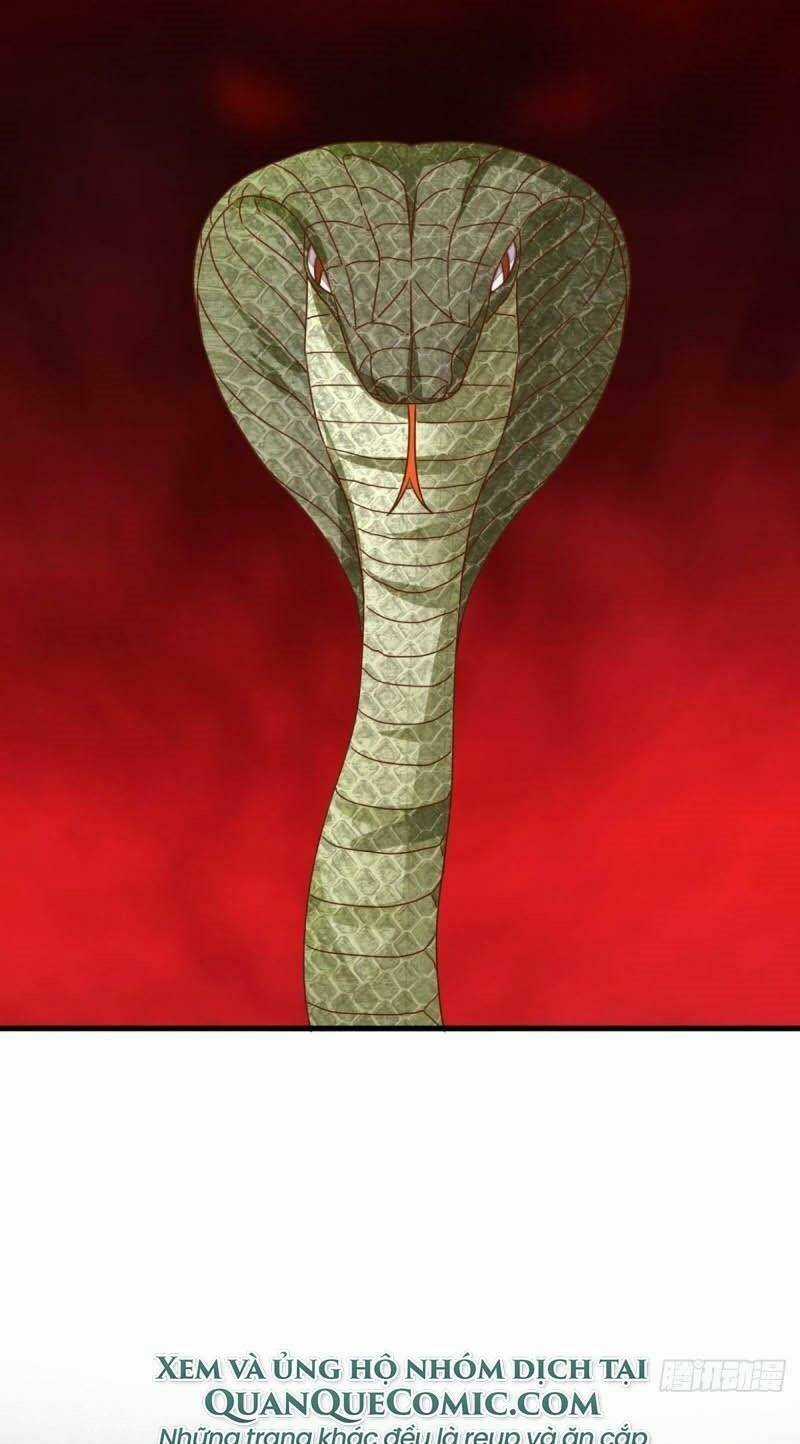 Đô Thị Siêu Cấp Y Sinh - Chapter 17 - Trang 9