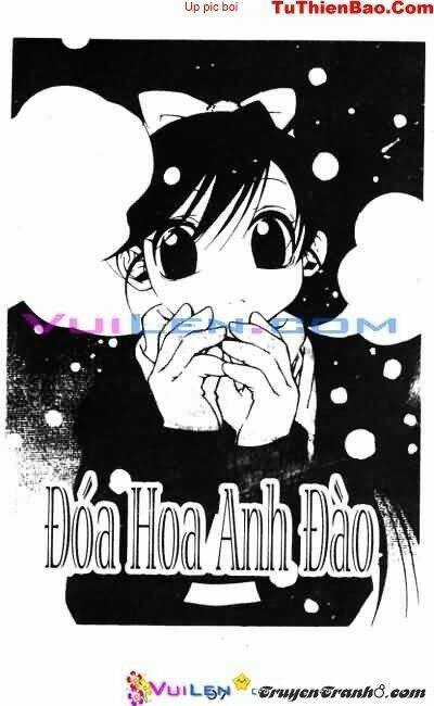 Đóa Hoa Anh Đào - Chapter 5 - Trang 8