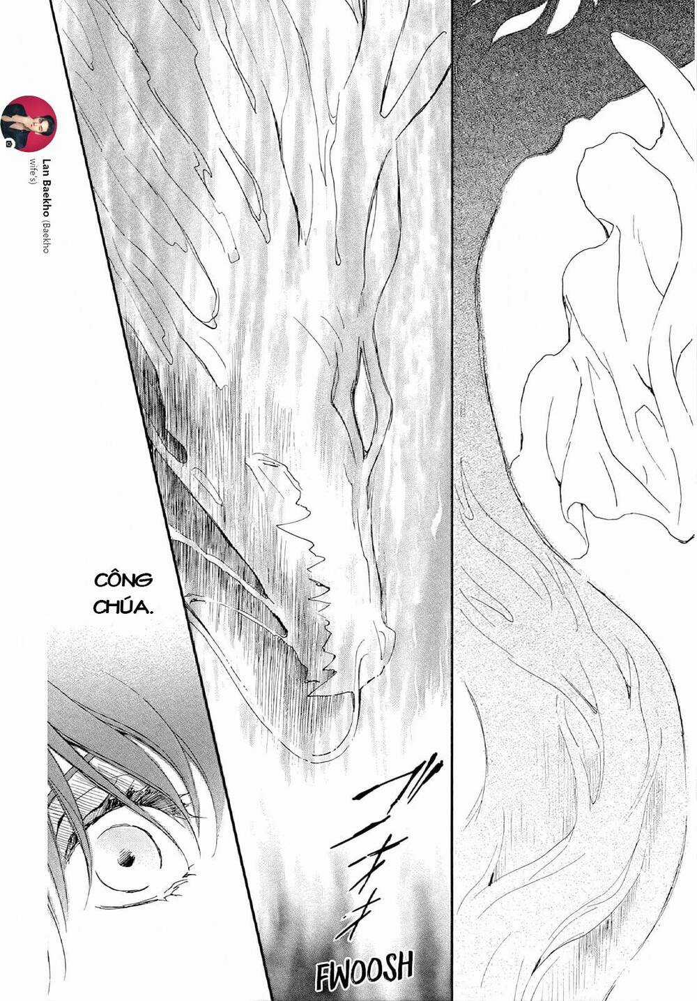 Đóa Hoa Bùng Cháy - Chapter 246 - Trang 27