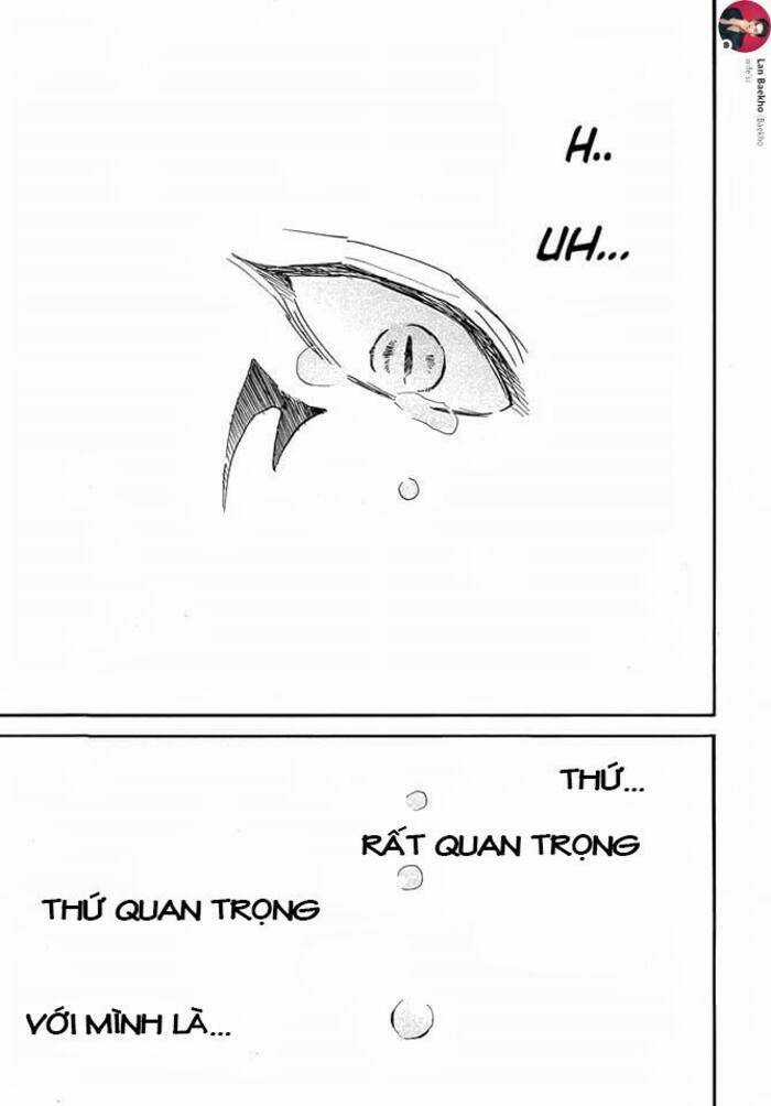 Đóa Hoa Bùng Cháy - Chapter 249 - Trang 27