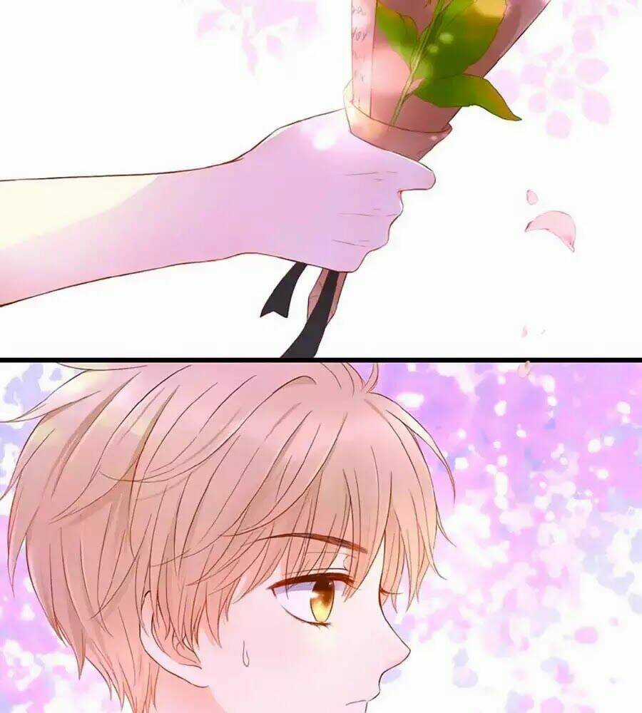 Đóa Hoa Chớm Nở - Chapter 1 - Trang 4