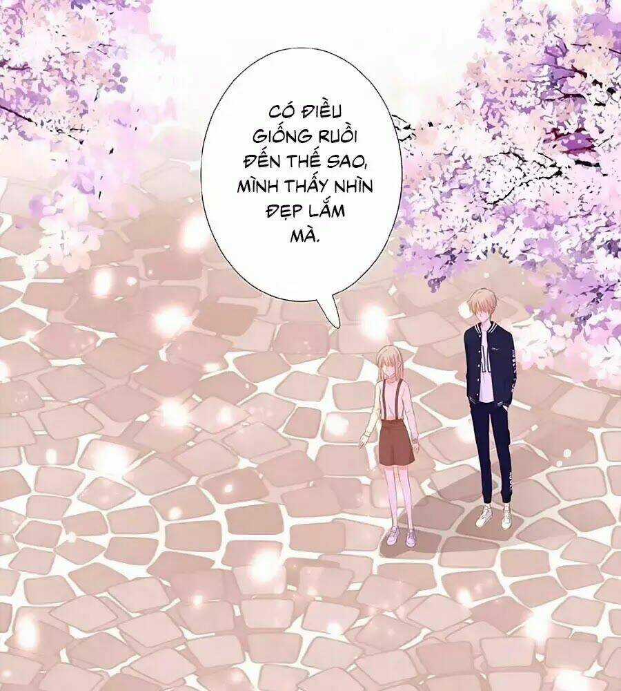 Đóa Hoa Chớm Nở - Chapter 19 - Trang 34