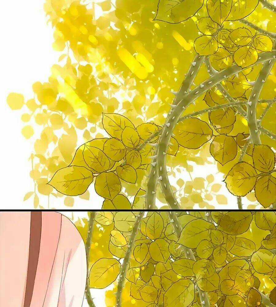 Đóa Hoa Chớm Nở - Chapter 20 - Trang 15