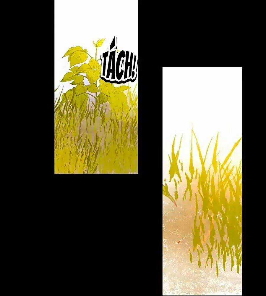 Đóa Hoa Chớm Nở - Chapter 20 - Trang 23