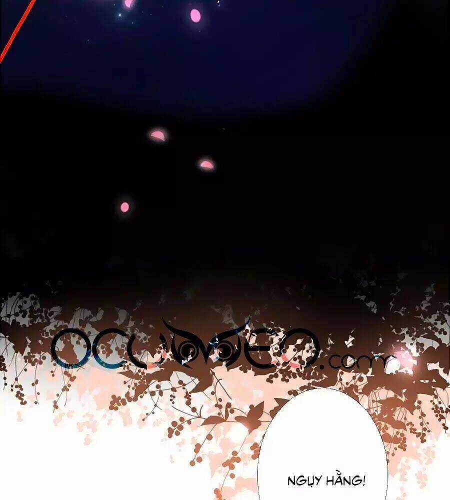 Đóa Hoa Chớm Nở - Chapter 23 - Trang 4