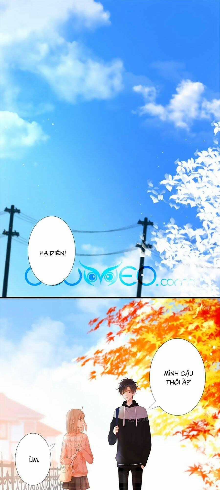 Đóa Hoa Chớm Nở - Chapter 29 - Trang 1