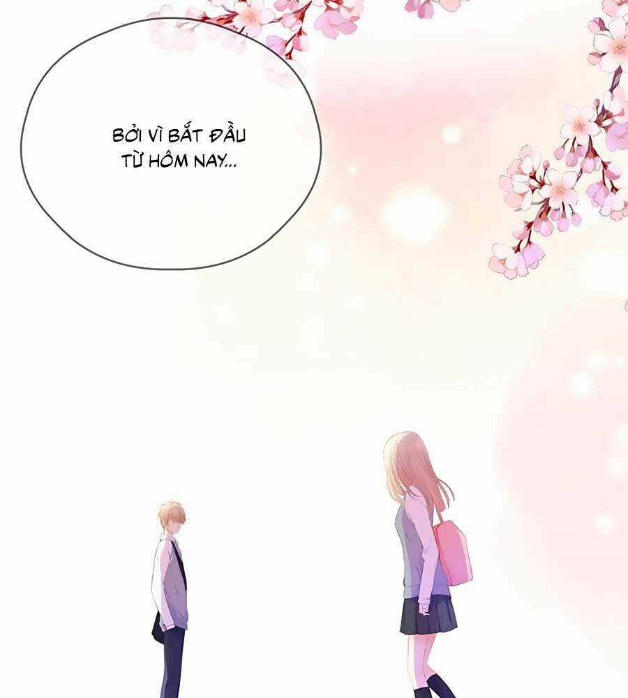 Đóa Hoa Chớm Nở - Chapter 66 - Trang 4