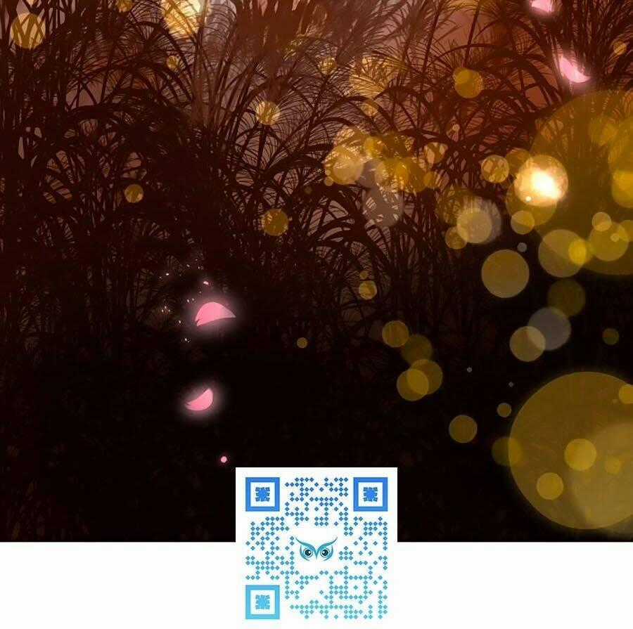 Đóa Hoa Chớm Nở - Chapter 69 - Trang 31