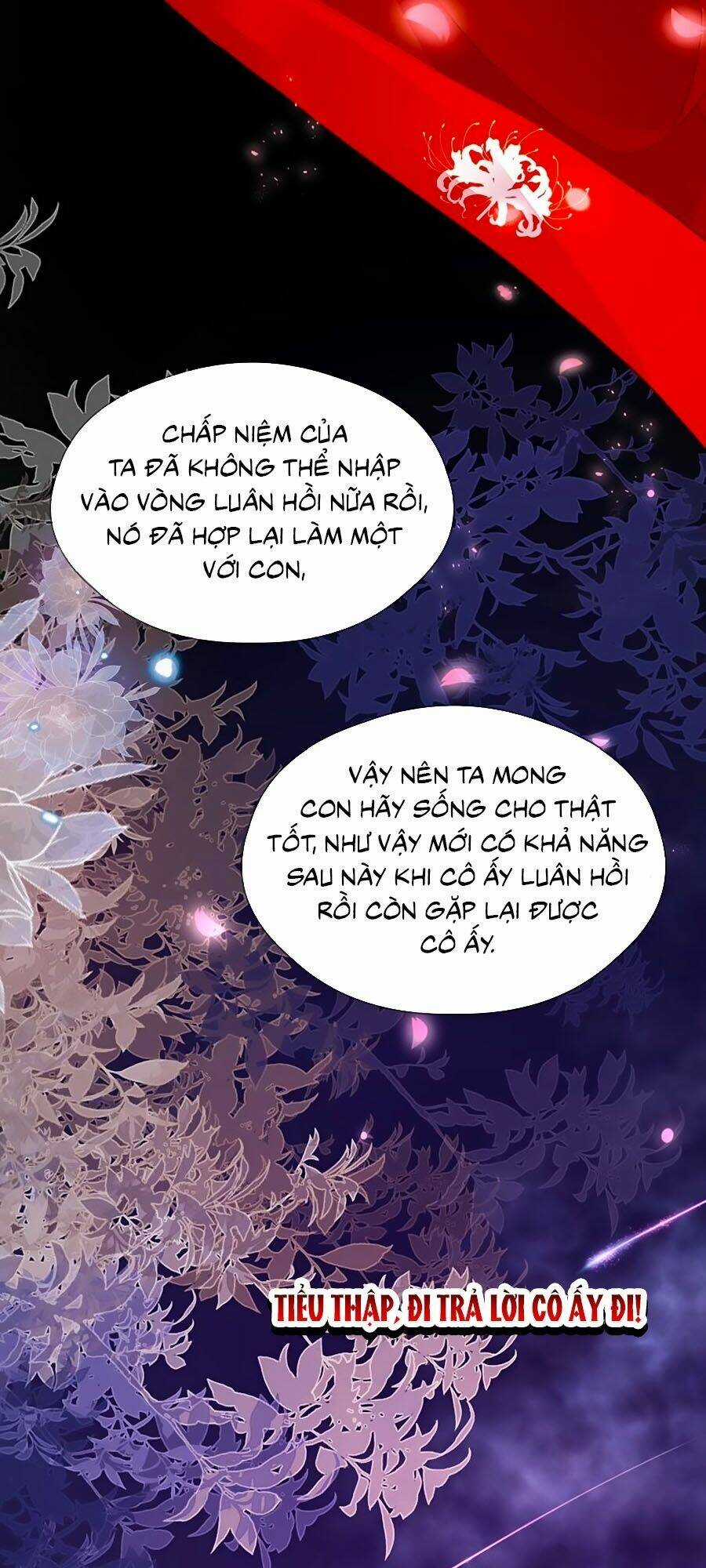 Đóa Hoa Chớm Nở - Chapter 71 - Trang 27