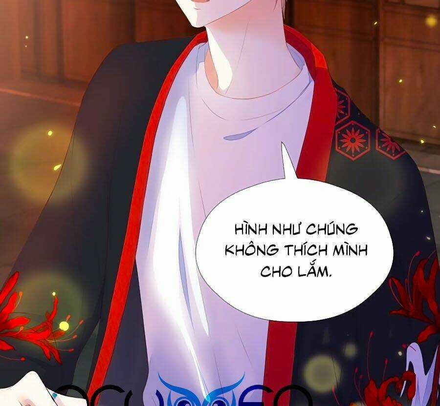 Đóa Hoa Chớm Nở - Chapter 71 - Trang 7