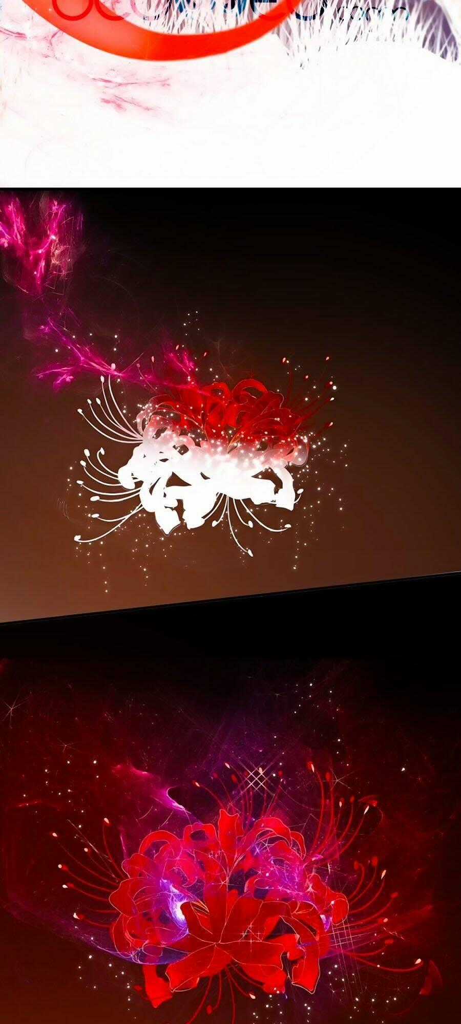 Đóa Hoa Chớm Nở - Chapter 74 - Trang 43