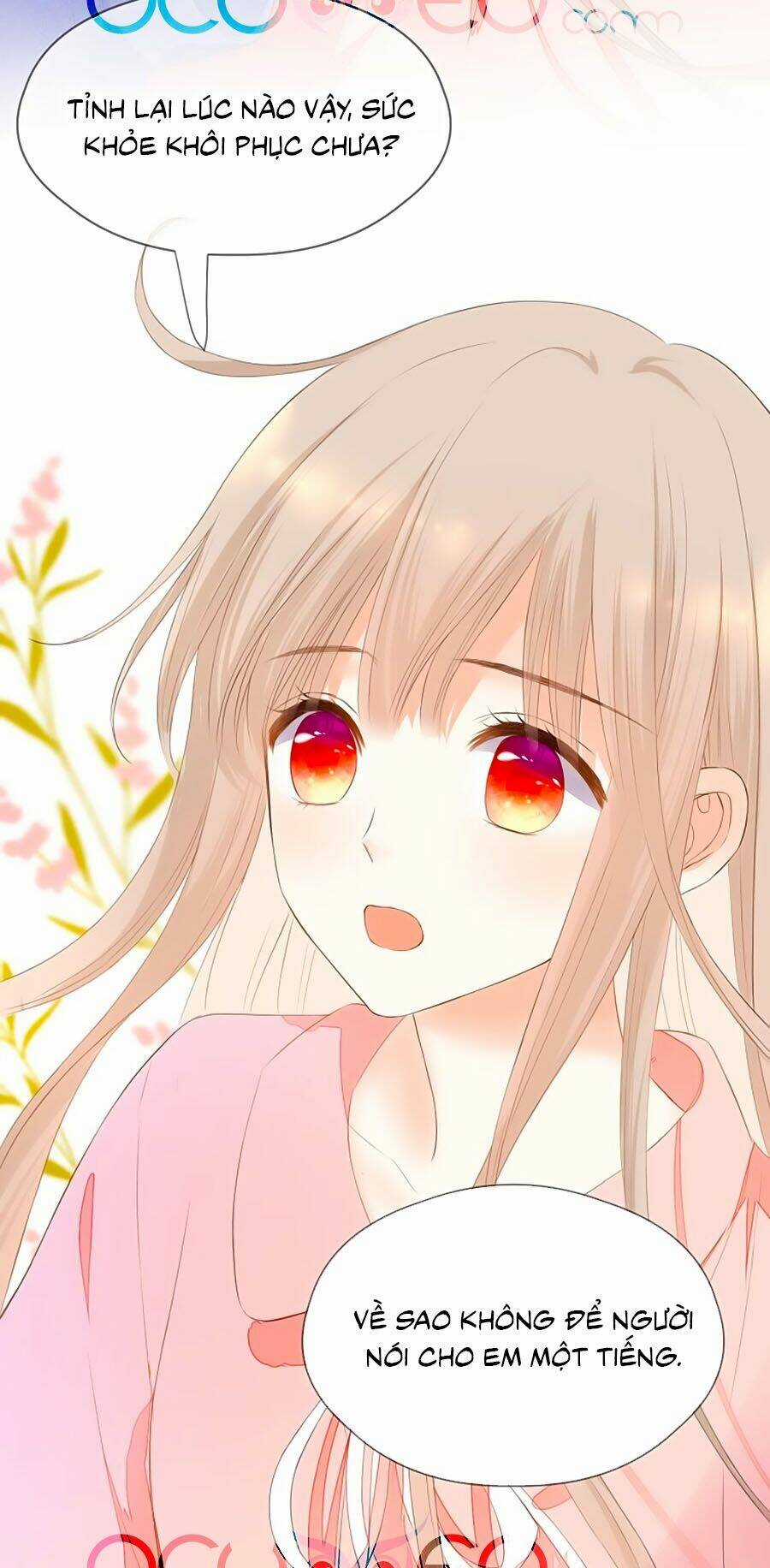 Đóa Hoa Chớm Nở - Chapter 75 - Trang 19