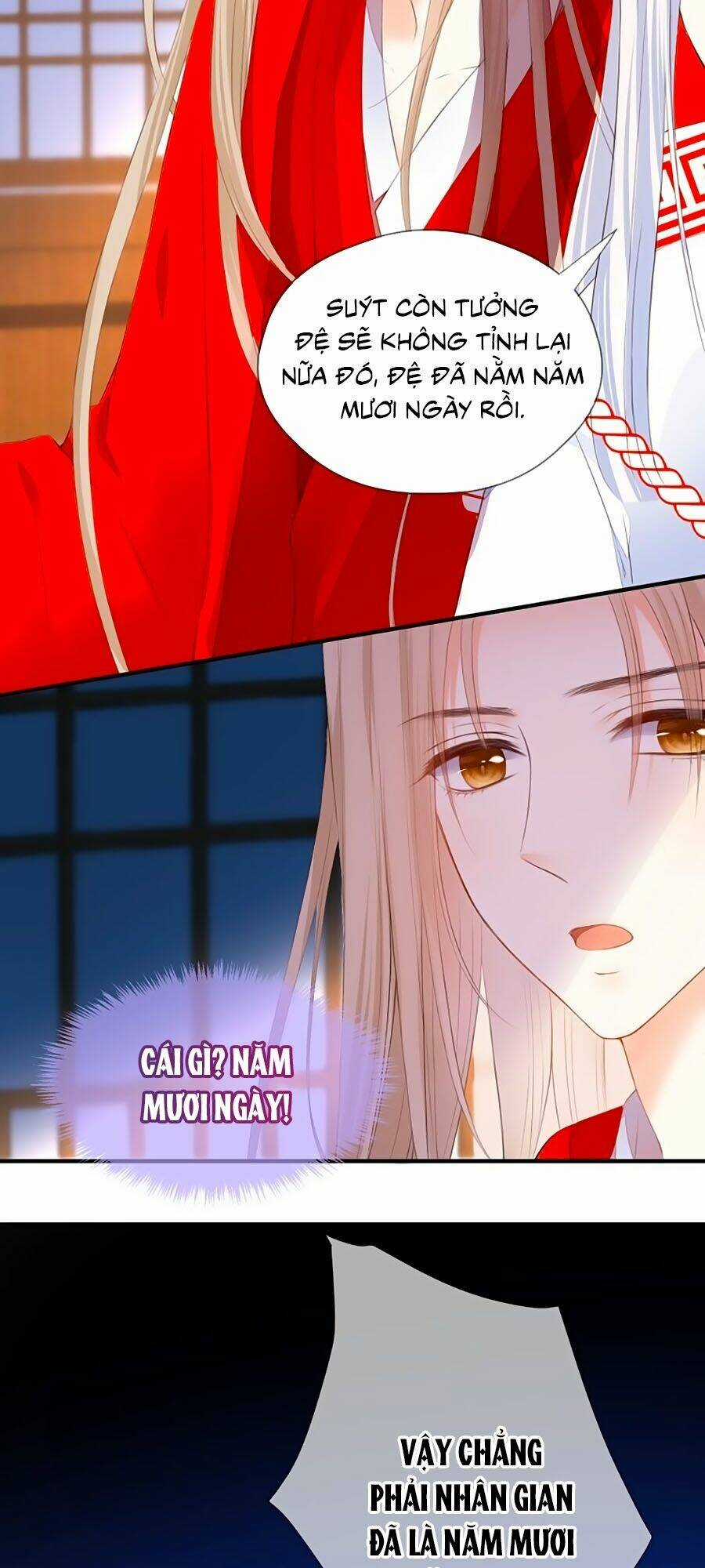 Đóa Hoa Chớm Nở - Chapter 75 - Trang 4