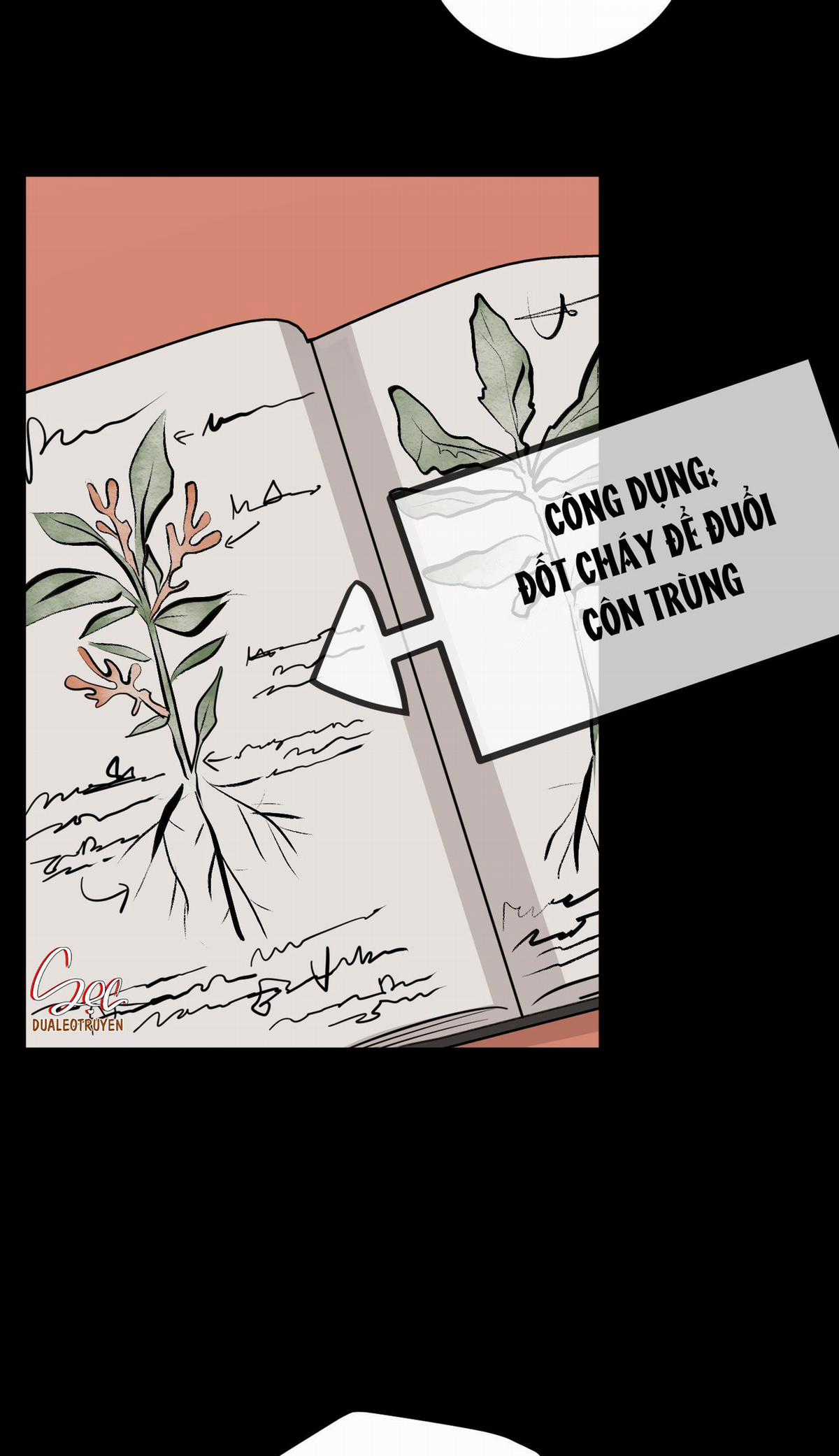 Đóa Hoa Không Tên - Chapter 2 - Trang 56