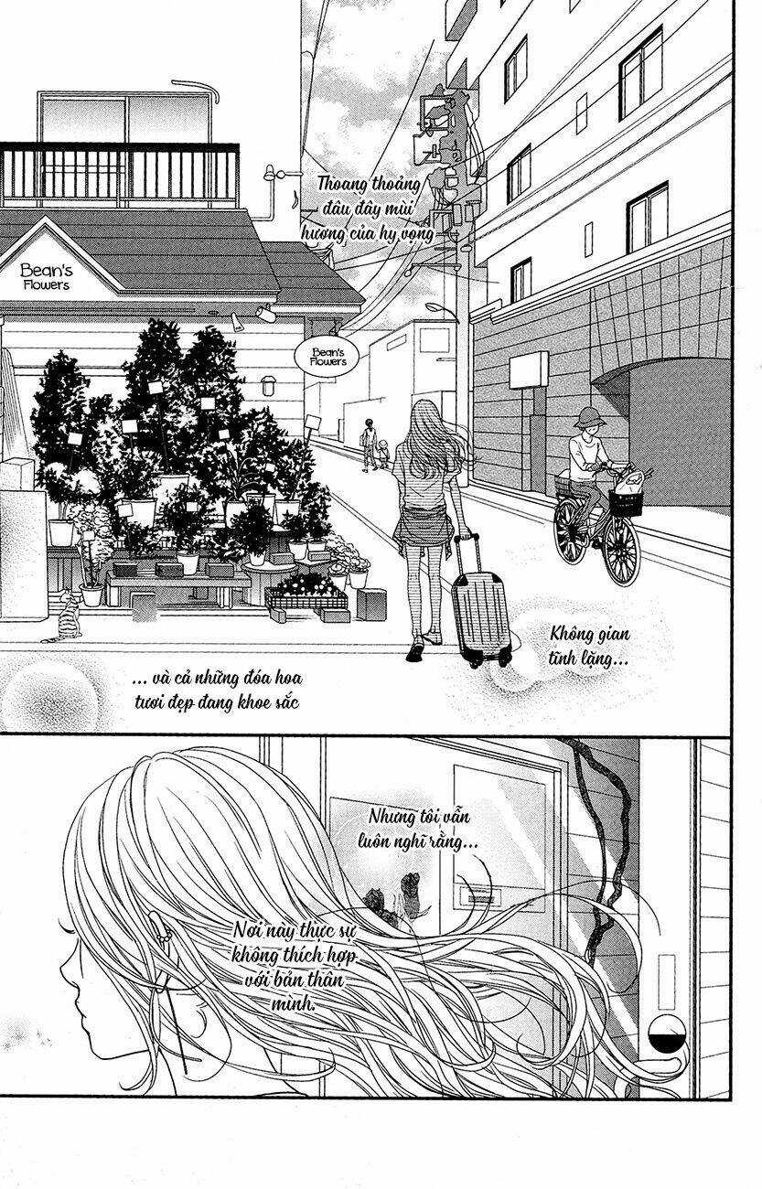 Đóa Hoa Năm Ấy - Chapter 1 - Trang 5