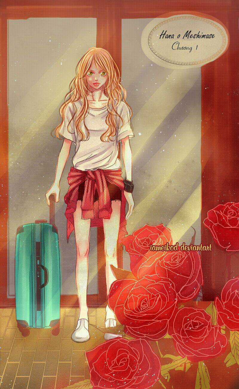 Đóa Hoa Năm Ấy - Chapter 1 - Trang 6