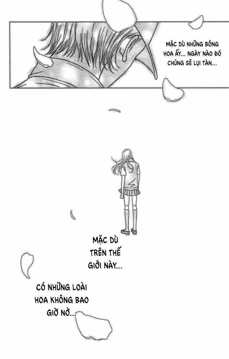 Đóa Hoa Năm Ấy - Chapter 3 - Trang 45