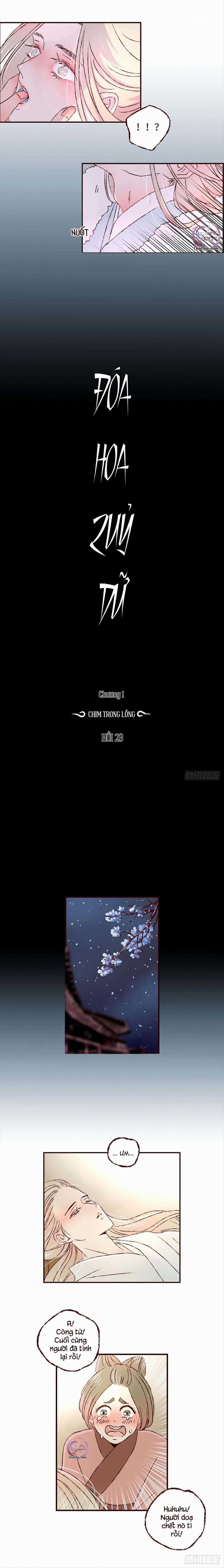 Đóa Hoa Quỷ Dữ - Chapter 23 - Trang 6