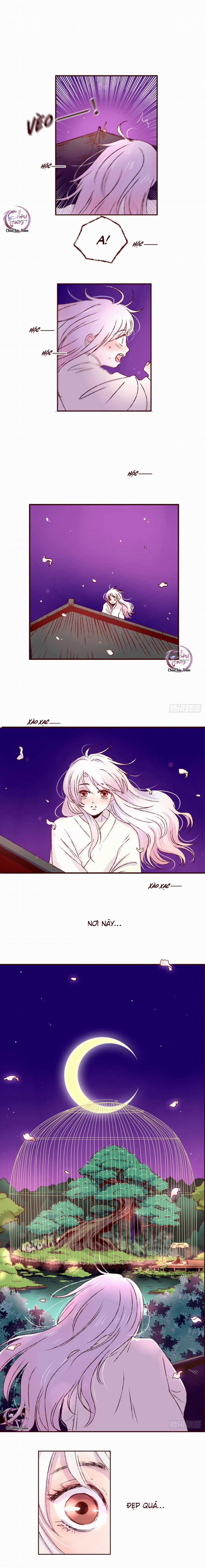 Đóa Hoa Quỷ Dữ - Chapter 3 - Trang 1