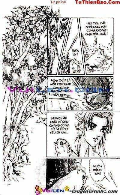 Đóa Hoa Yêu Kiều - Chapter 1 - Trang 15