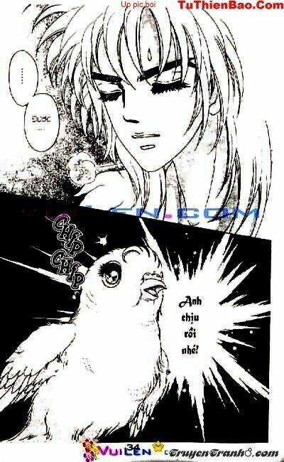 Đóa Hoa Yêu Kiều - Chapter 1 - Trang 35