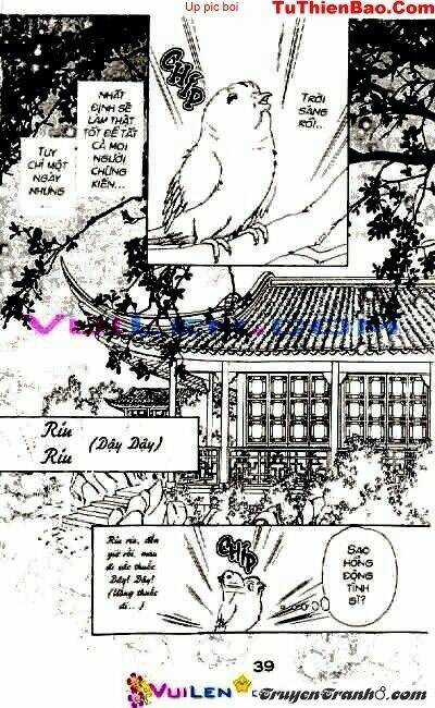 Đóa Hoa Yêu Kiều - Chapter 1 - Trang 40