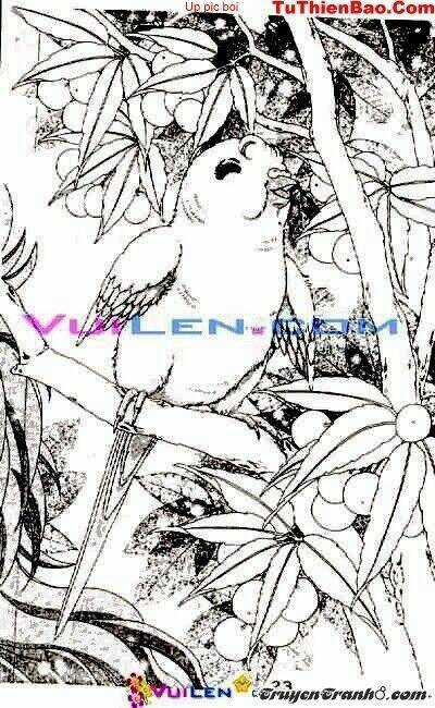 Đóa Hoa Yêu Kiều - Chapter 2 - Trang 24