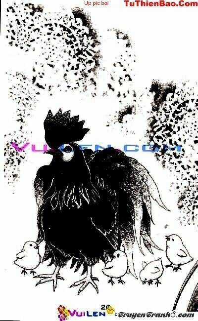 Đóa Hoa Yêu Kiều - Chapter 2 - Trang 27