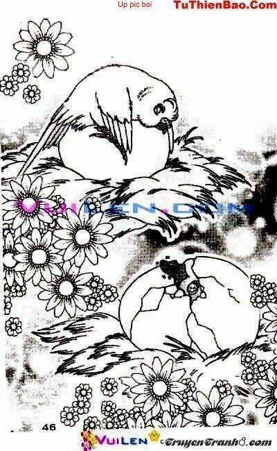 Đóa Hoa Yêu Kiều - Chapter 2 - Trang 47