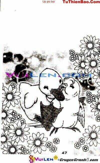 Đóa Hoa Yêu Kiều - Chapter 2 - Trang 48