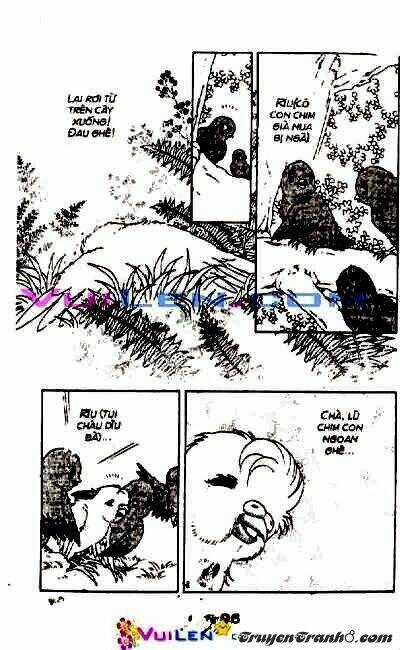 Đóa Hoa Yêu Kiều - Chapter 3 - Trang 97