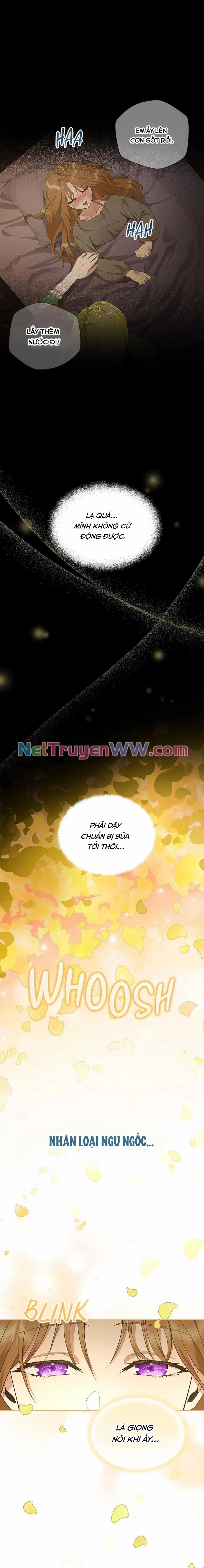 Đoá Violet nở rộ phía sau vườn - Chapter 2 - Trang 6