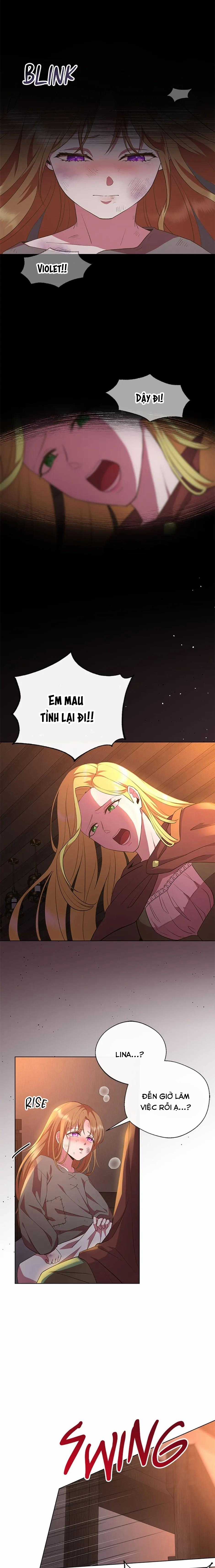 Đoá Violet nở rộ phía sau vườn - Chapter 2 - Trang 9