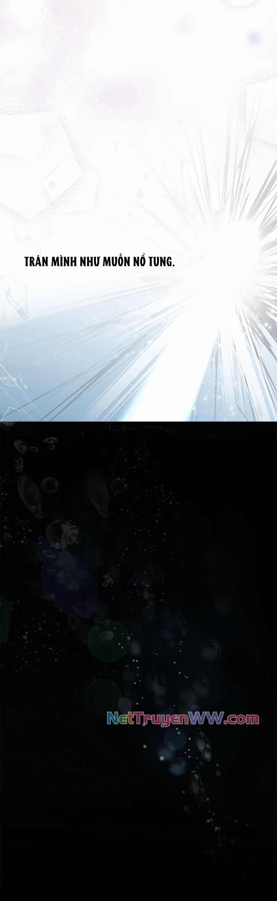 Đoá Violet nở rộ phía sau vườn - Chapter 4 - Trang 4