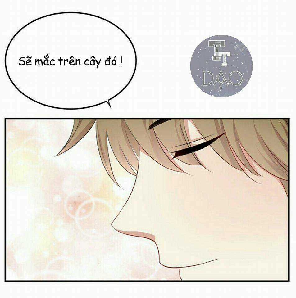 Đoạt Hôn Ác Thiếu - Chapter 3 - Trang 5