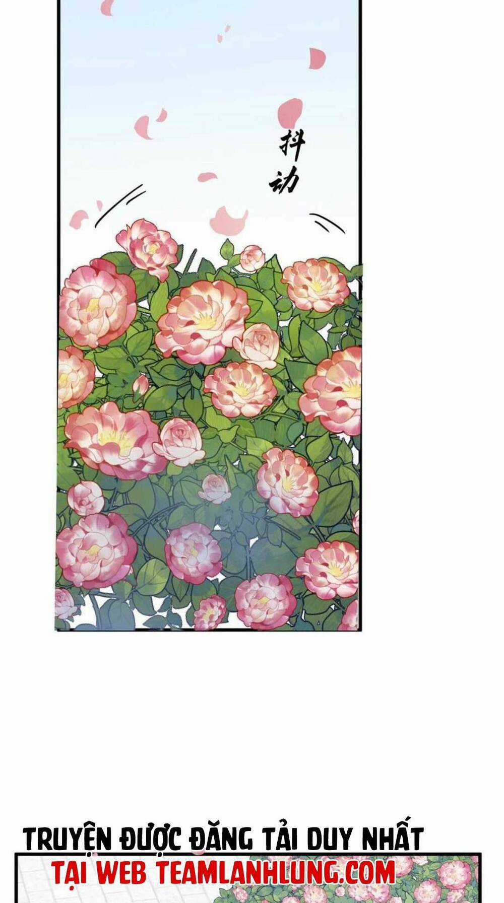 Độc Bộ Thiên Hạ: Đặc Công Thần Y - Chapter 430 - Trang 11