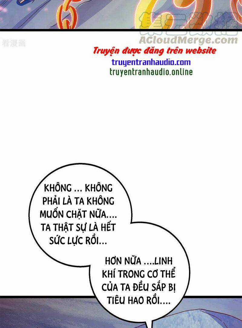 Độc Bộ Tiêu Dao - Chapter 260 - Trang 3