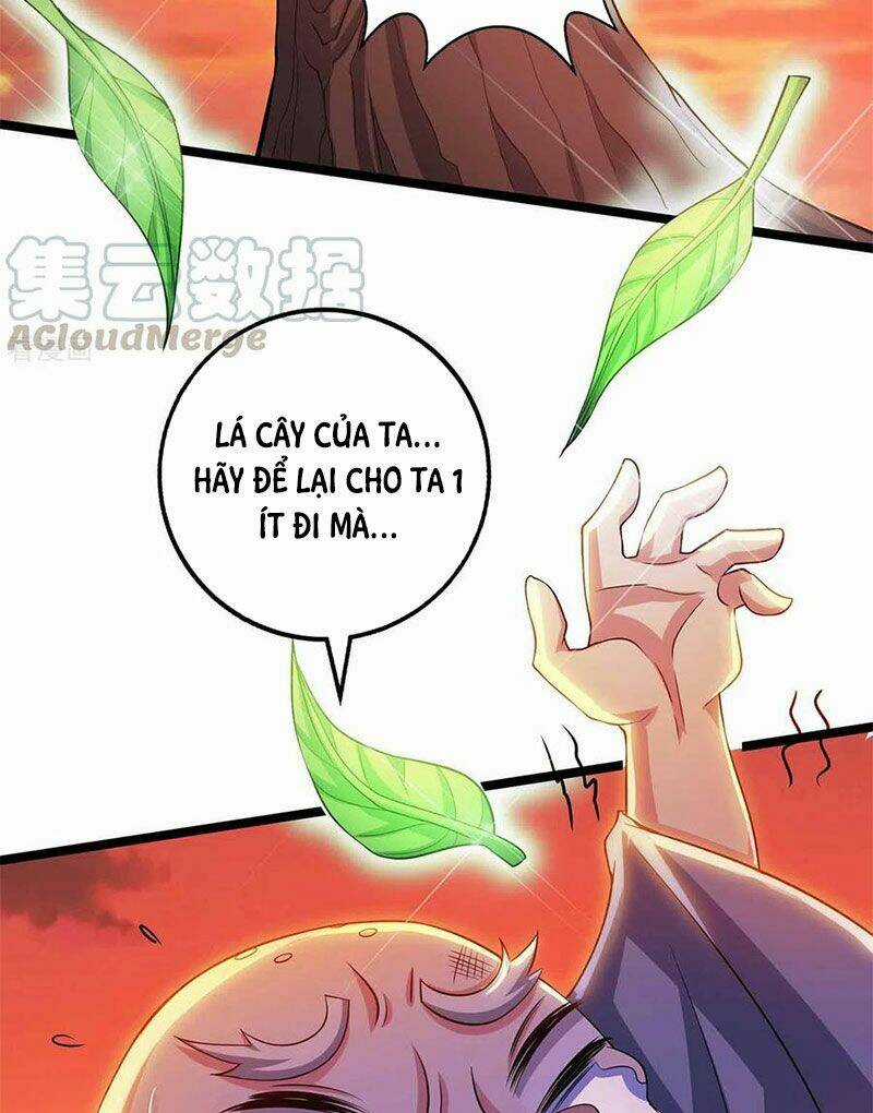 Độc Bộ Tiêu Dao - Chapter 266 - Trang 29