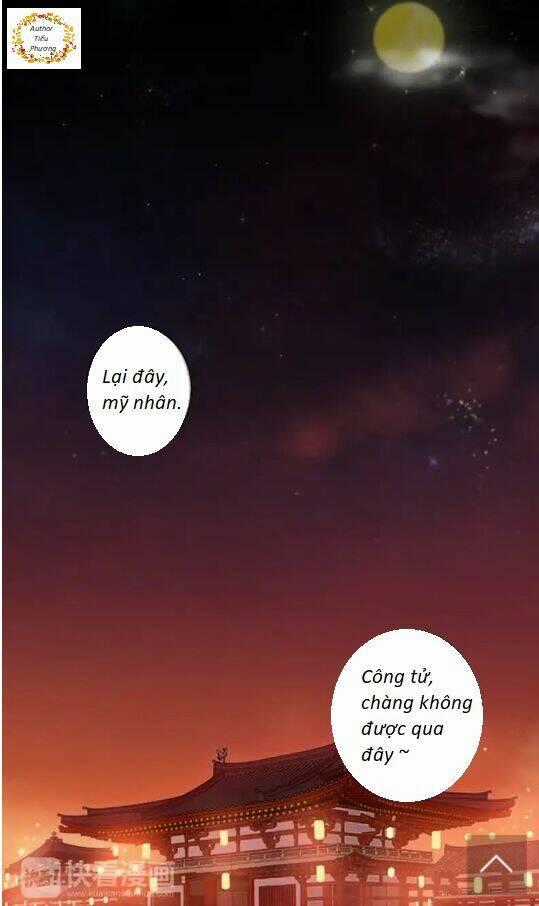 Độc Chiếm Kiều Thê Làm Sủng Phi - Chapter 1 - Trang 2