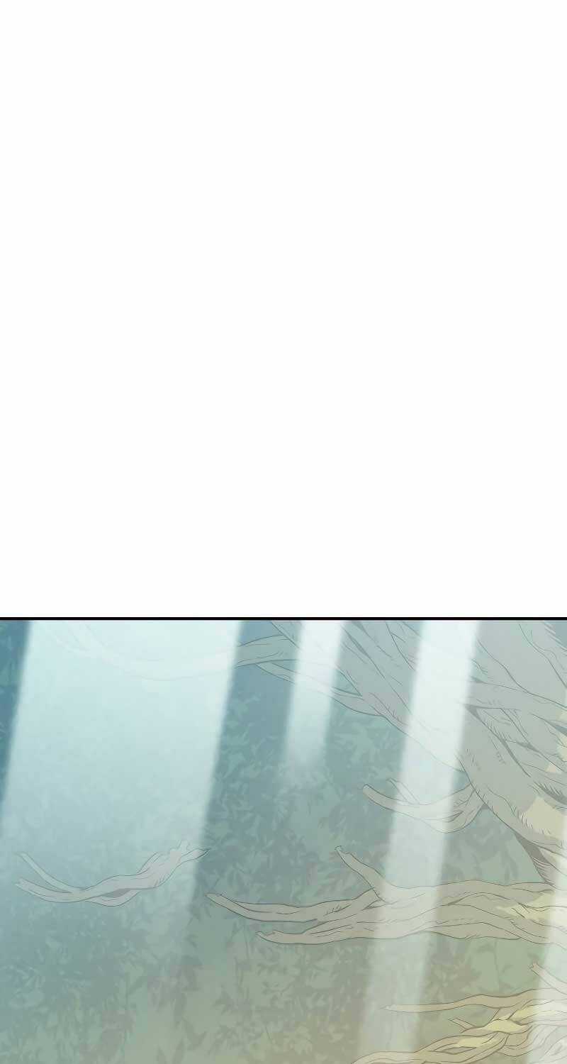 Độc Cô Tử Linh Sư - Chương 151 - Trang 35