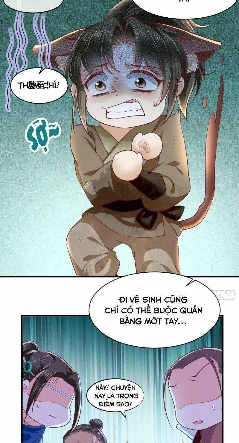 Độc Phi Ngu Ngốc Không Thể Chọc - Chapter 104 - Trang 13