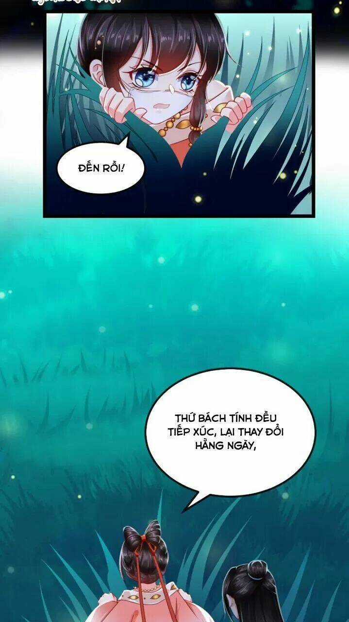 Độc Phi Ngu Ngốc Không Thể Chọc - Chapter 113 - Trang 29