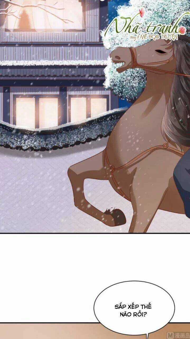 Độc Phi Ngu Ngốc Không Thể Chọc - Chapter 146 - Trang 3