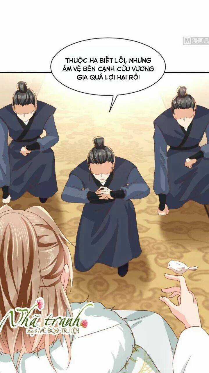 Độc Phi Ngu Ngốc Không Thể Chọc - Chapter 149 - Trang 3