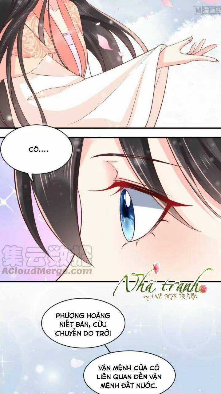 Độc Phi Ngu Ngốc Không Thể Chọc - Chapter 155 - Trang 8