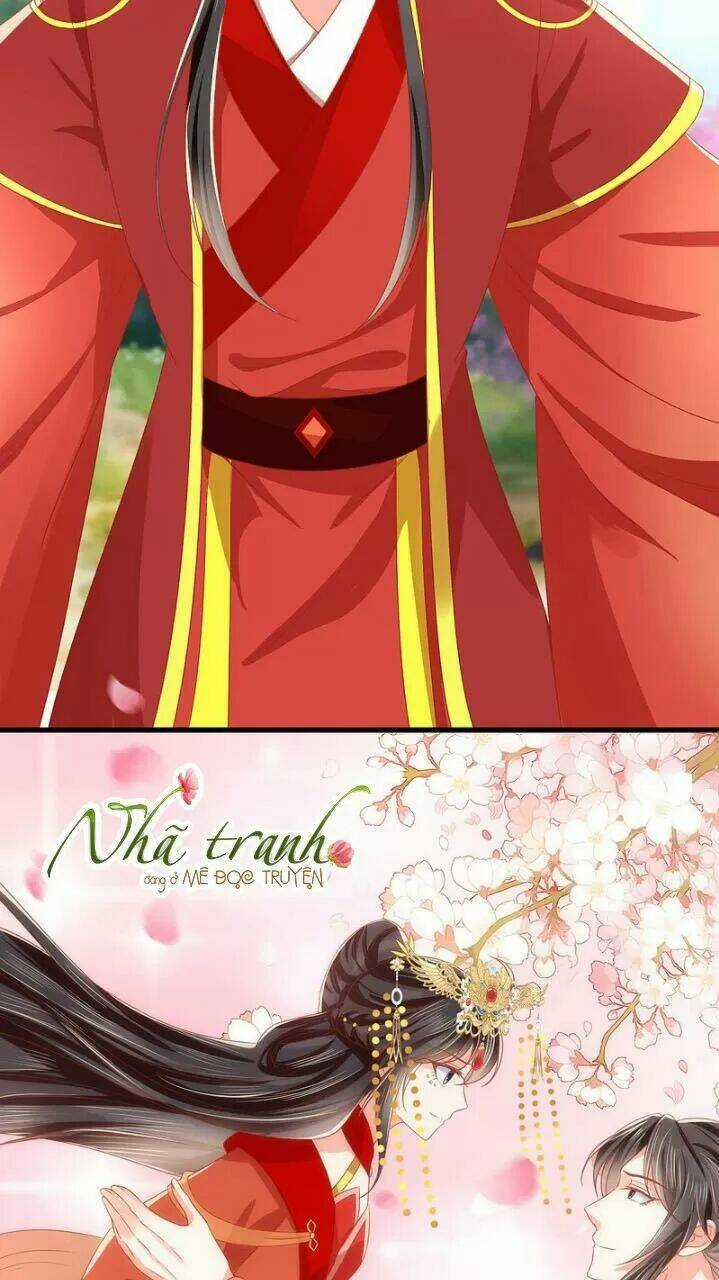 Độc Phi Ngu Ngốc Không Thể Chọc - Chapter 162 - Trang 5