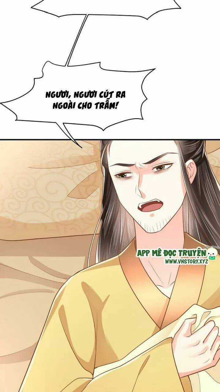 Độc Phi Ngu Ngốc Không Thể Chọc - Chapter 178 - Trang 4