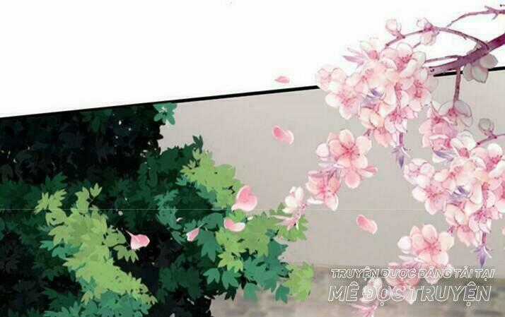 Độc Phi Thần Y Quá Kiêu Ngạo - Chapter 10 - Trang 1