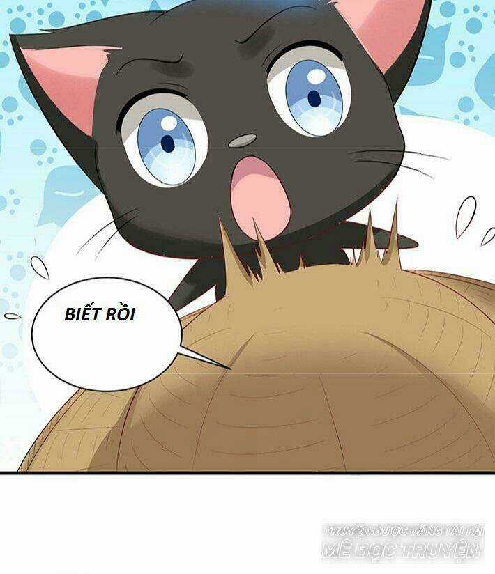 Độc Phi Thần Y Quá Kiêu Ngạo - Chapter 39 - Trang 11